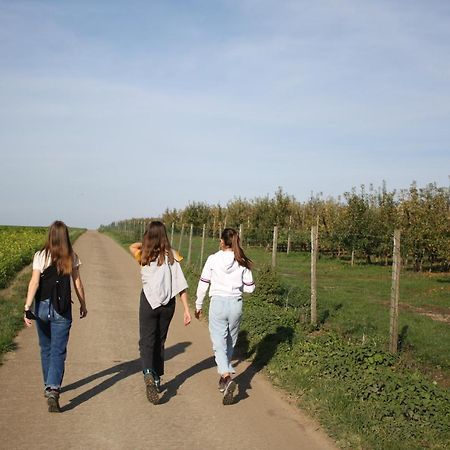 Hoeve Jadoul Gingelom Kültér fotó