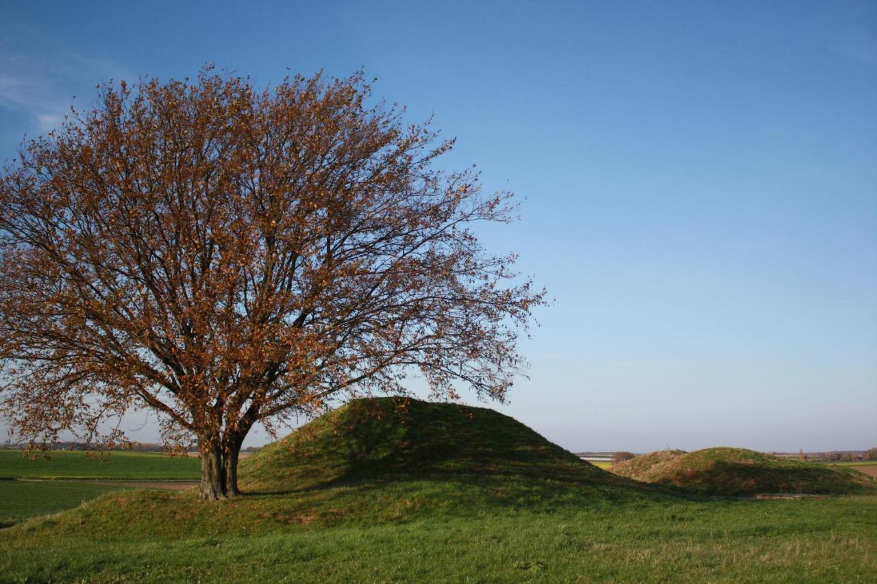 Hoeve Jadoul Gingelom Kültér fotó