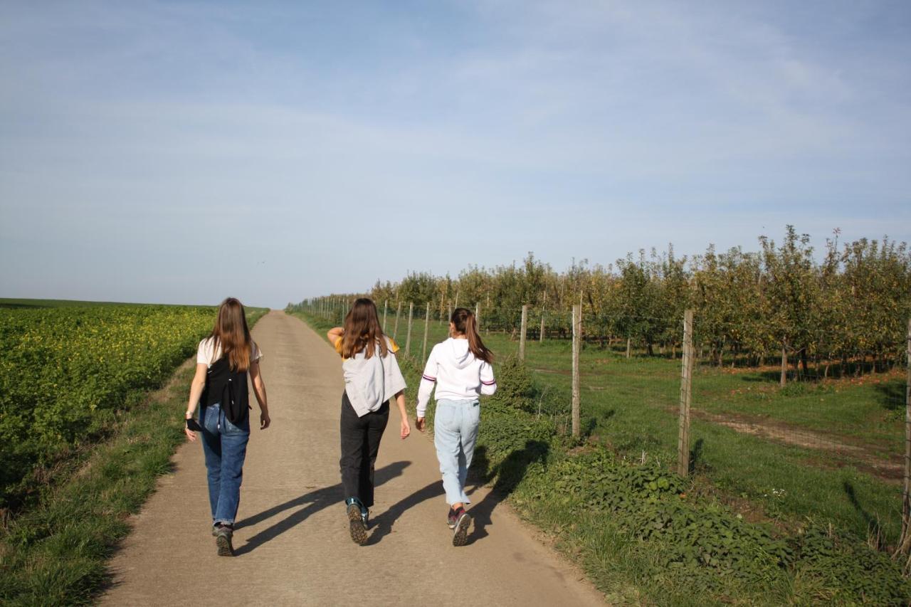 Hoeve Jadoul Gingelom Kültér fotó